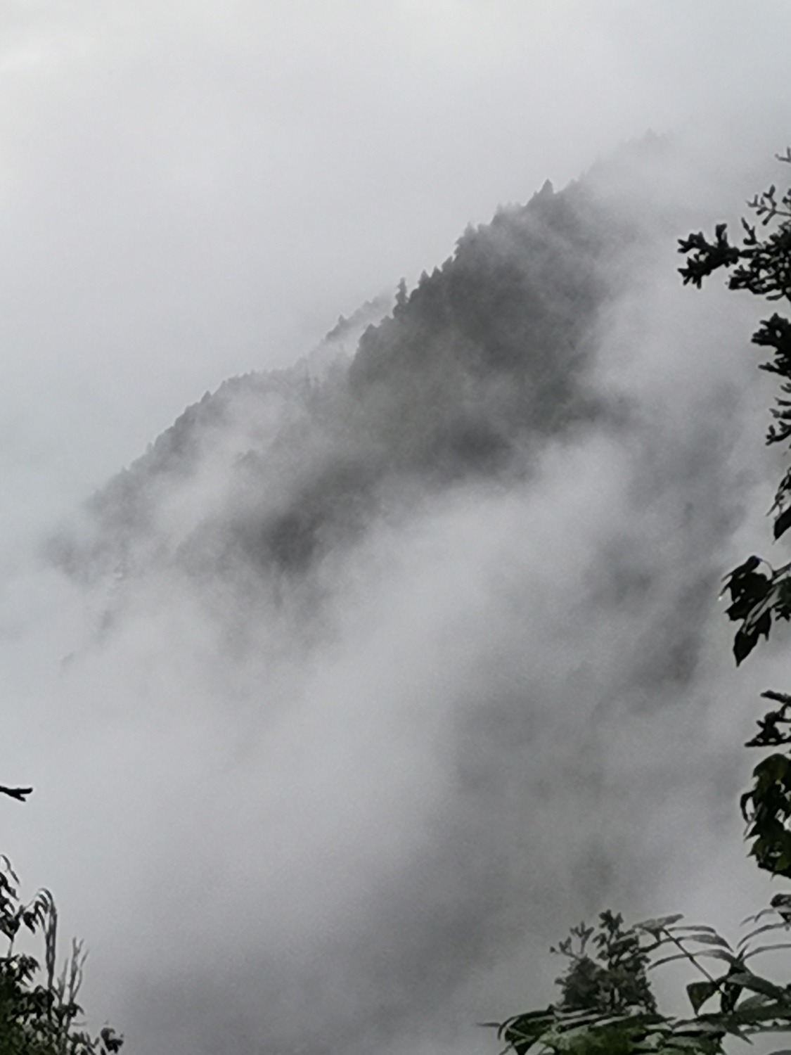 IMG_20200910_103852.jpg