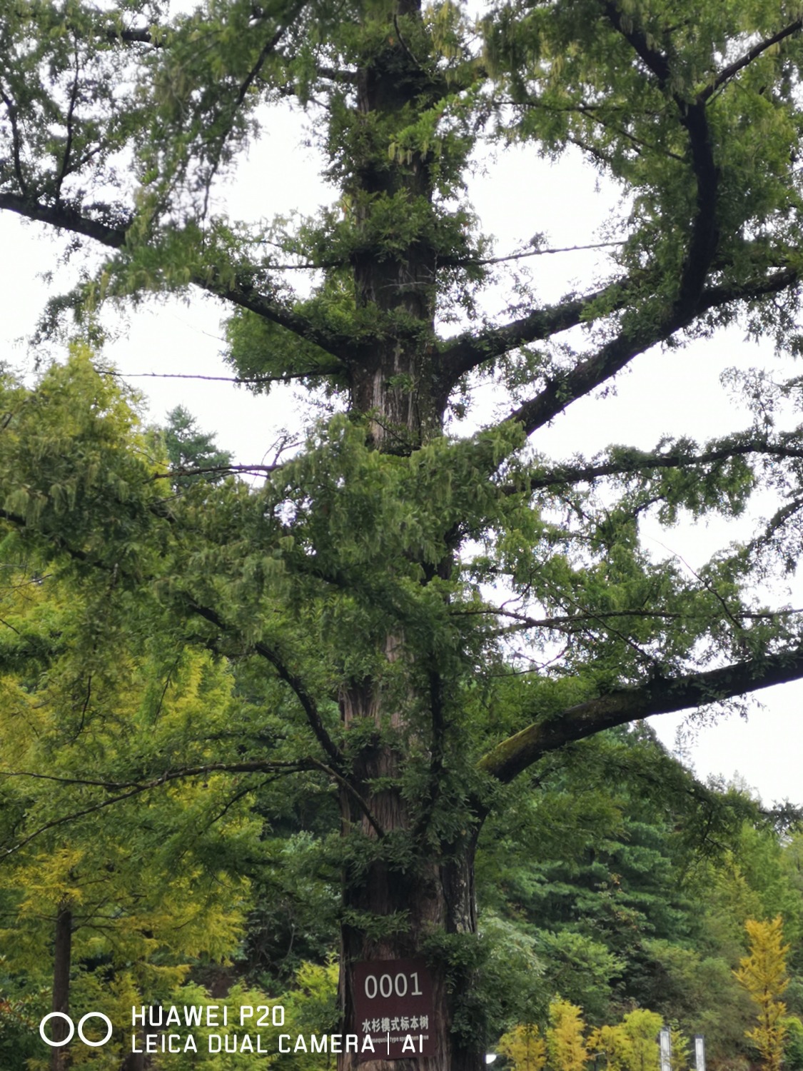 IMG_20200914_102619.jpg
