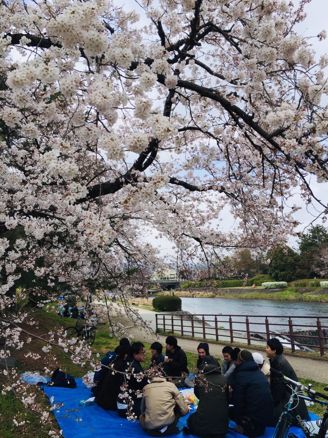 C17CC41A-8FB5-4F2F-BC7F-F0141B7D58DB.jpeg