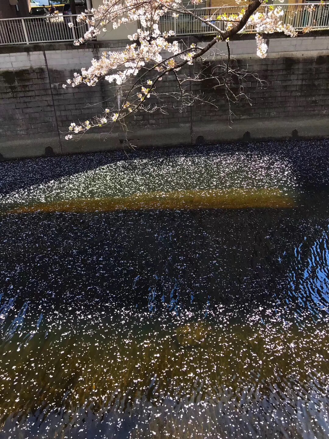 19A8E4C8-CA90-4482-BE3C-E443632E280B.jpeg