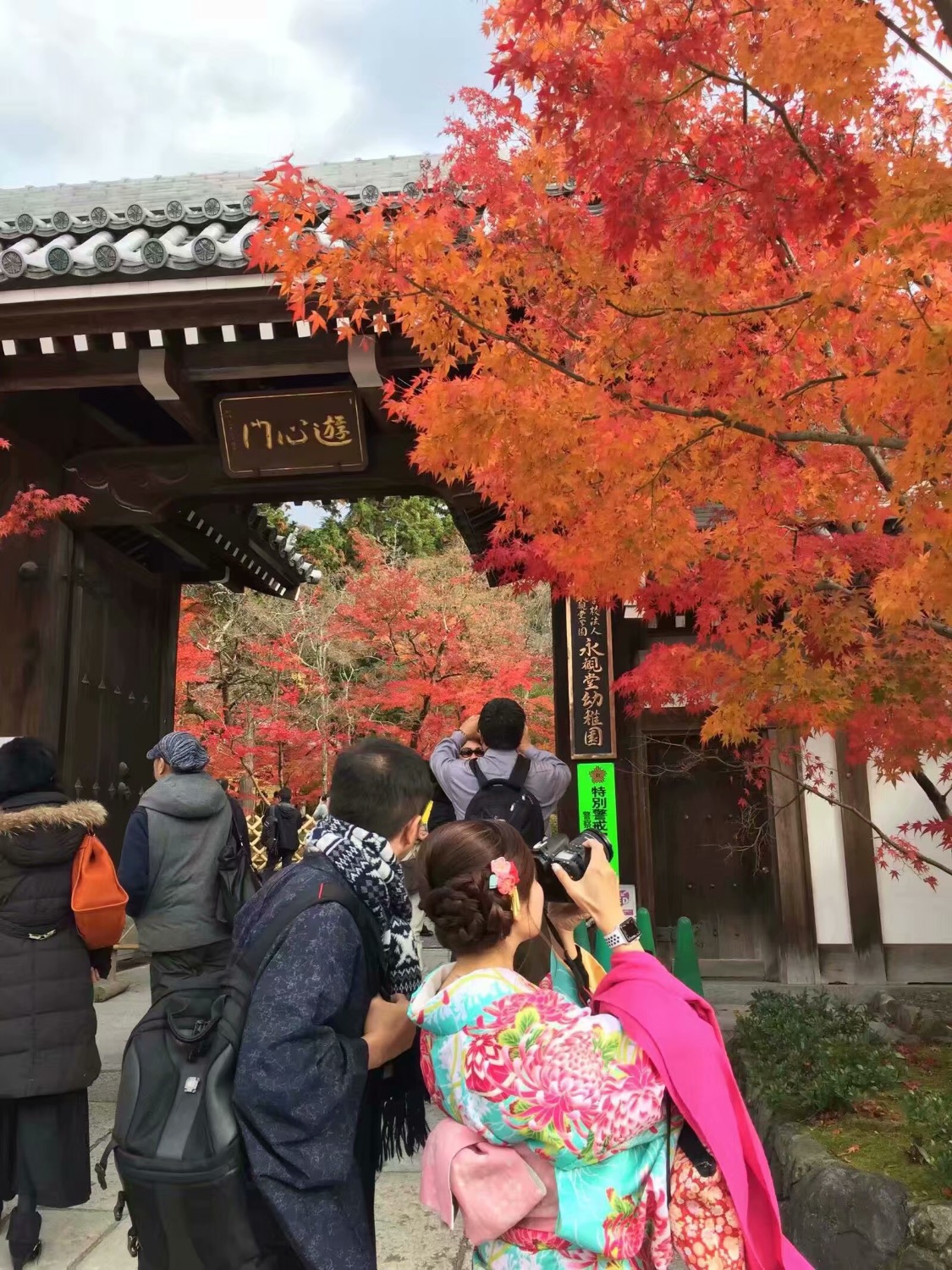 6F00220D-867A-4D71-80C2-AEE78CB6EF98.jpeg