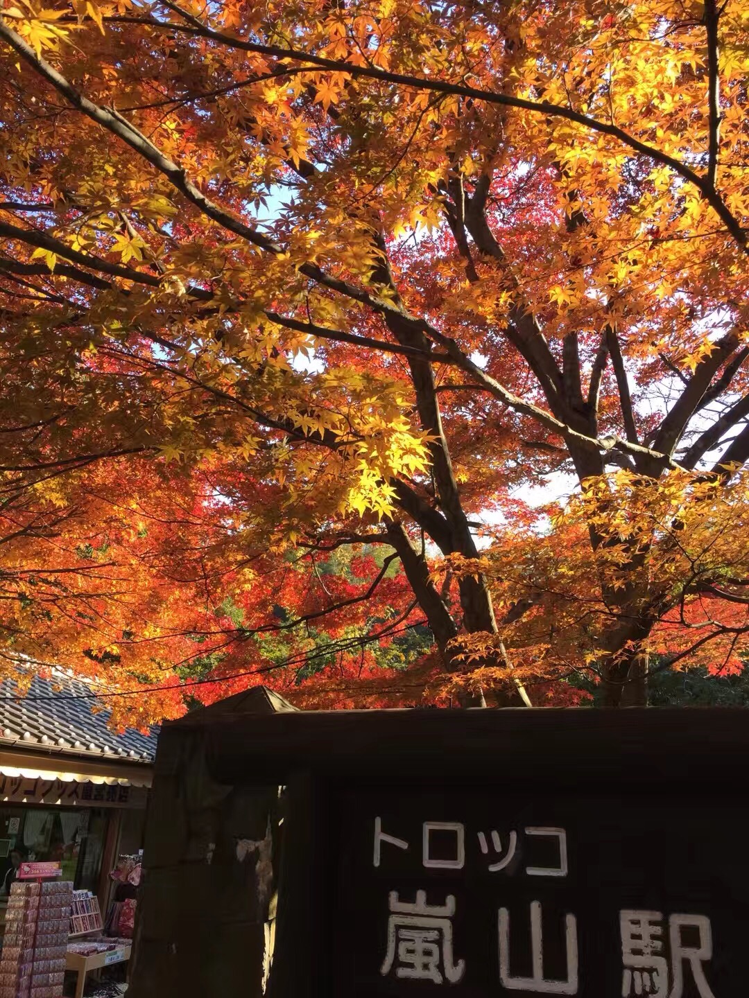 7C199D21-475B-4D80-AC57-BEEAD2AFBC5F.jpeg