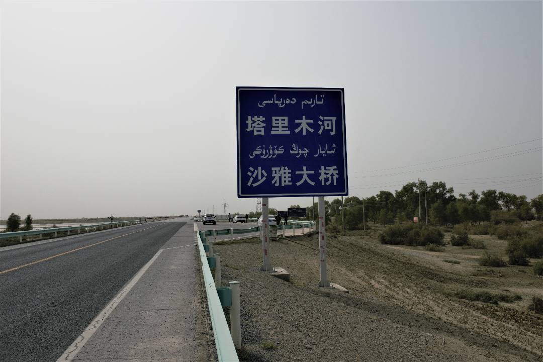 DSC_9984.jpg