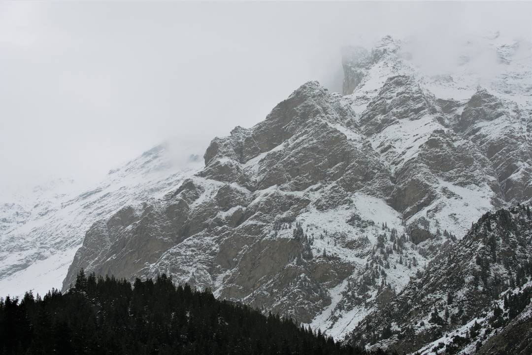 DSC_0329.jpg