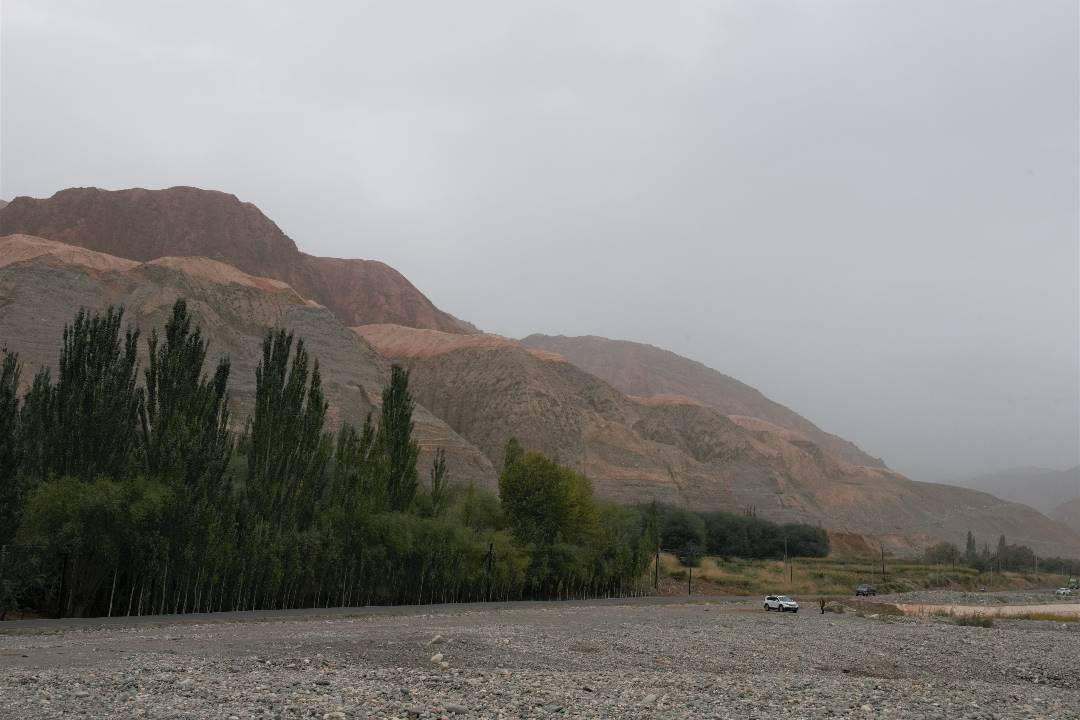 DSC_0374.jpg
