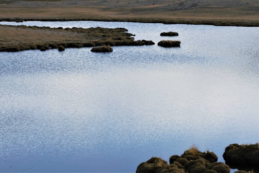 DSC_0439.jpg