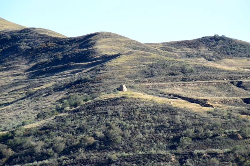 DSC_6301.JPG