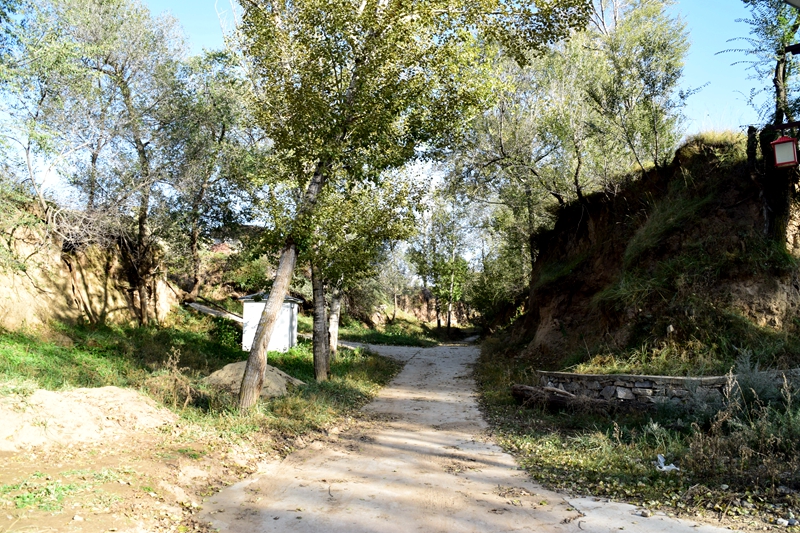 DSC_6337.JPG