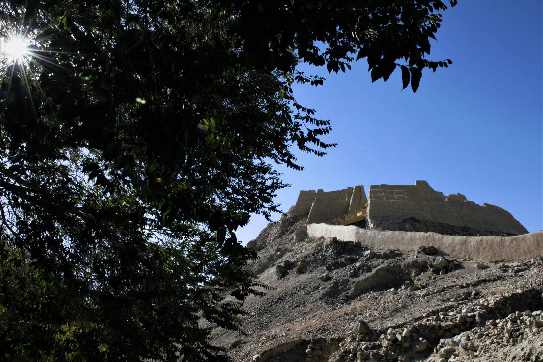 DSC_0607.jpg