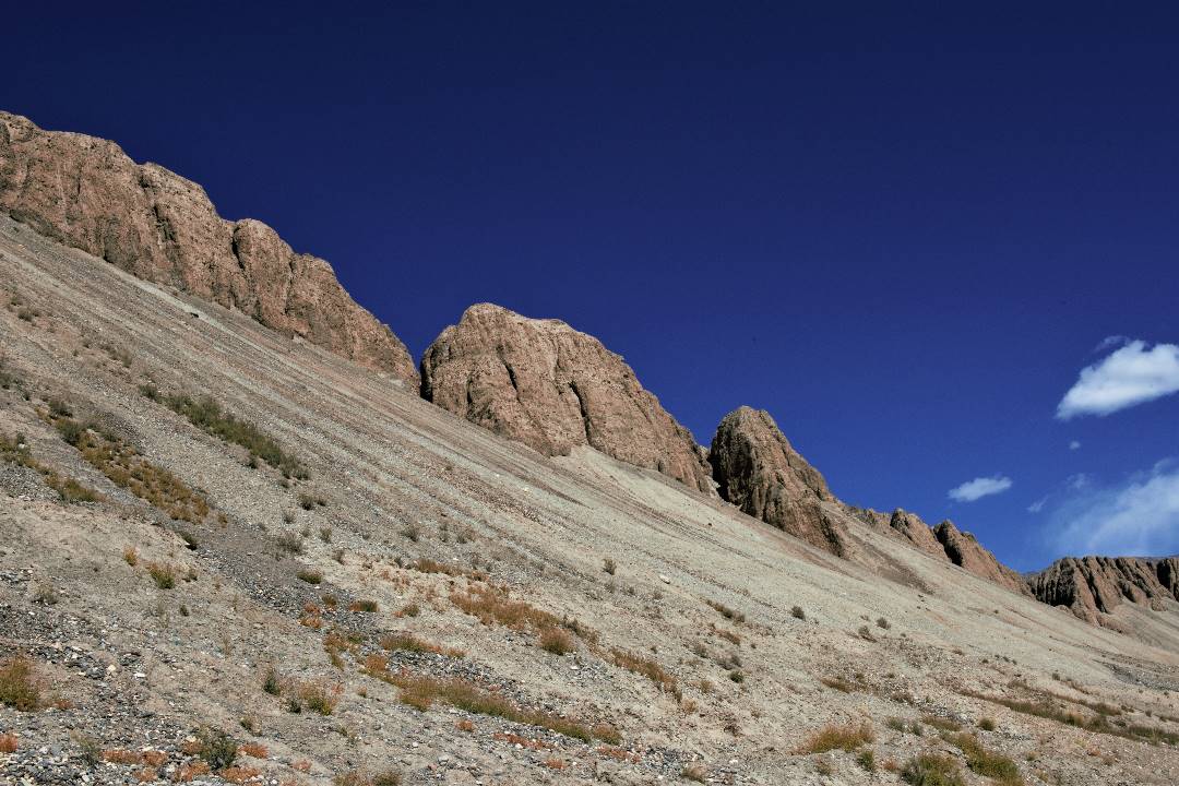 DSC_0801.jpg