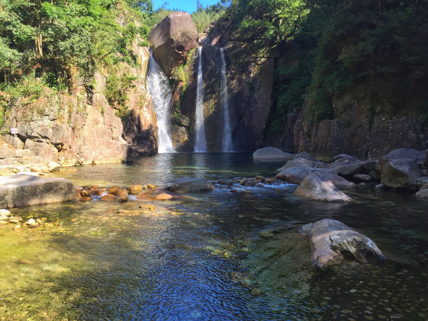 53D28529-AA80-4377-8550-380F09E10090.jpeg