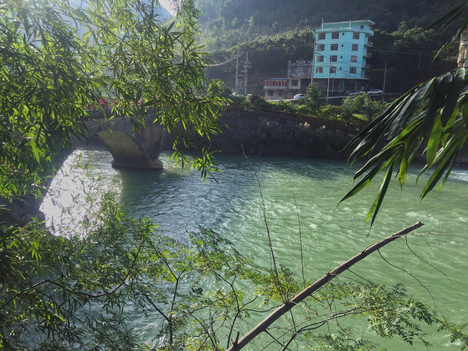 C55AD5B5-C57C-49C0-8D29-61D05022298E.jpeg