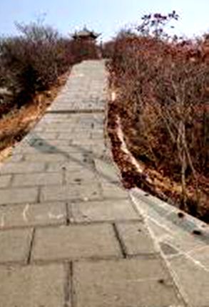 20201028_IMG_4358__.jpg