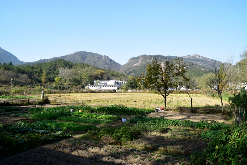 DSC_6856.JPG