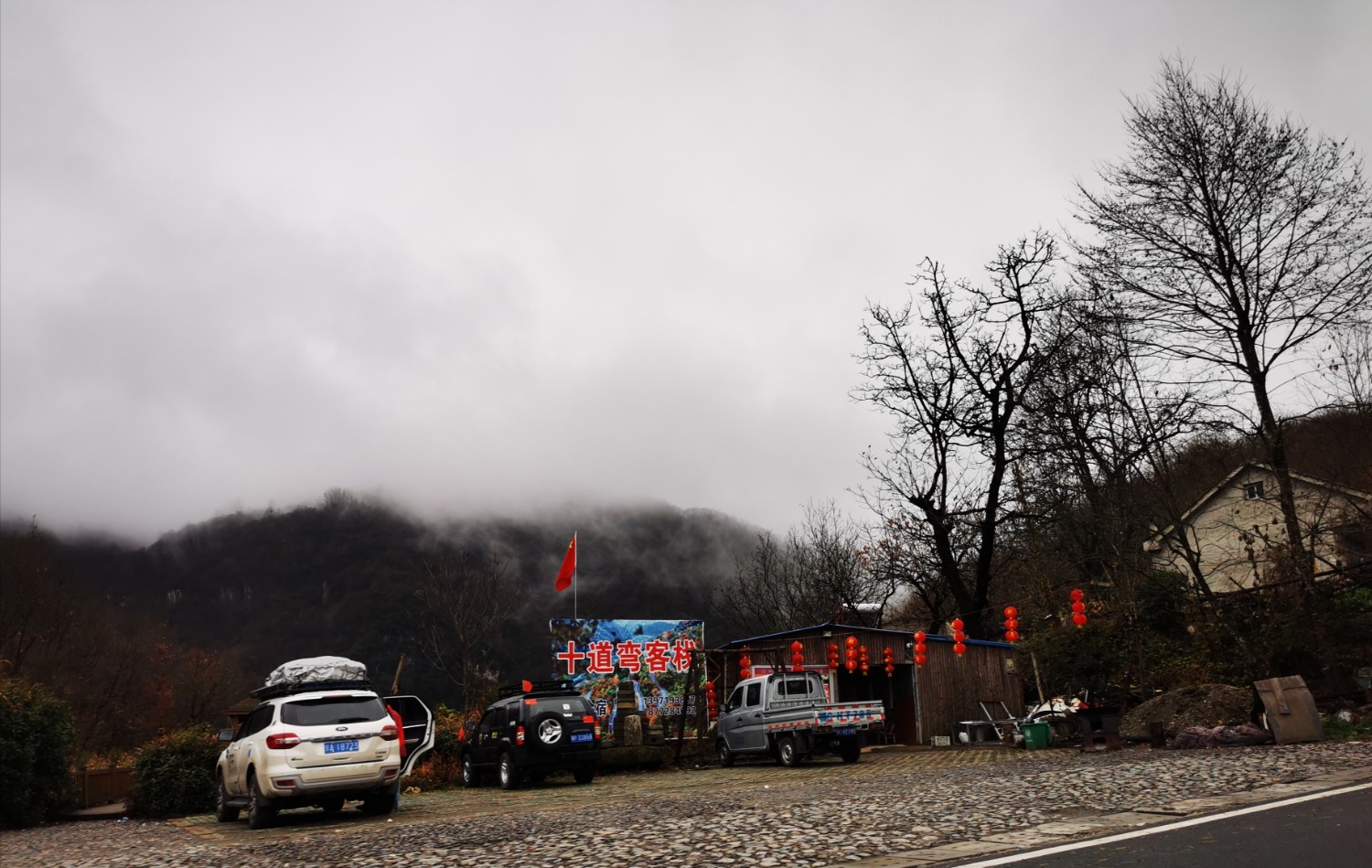 IMG_20201118_160855.jpg