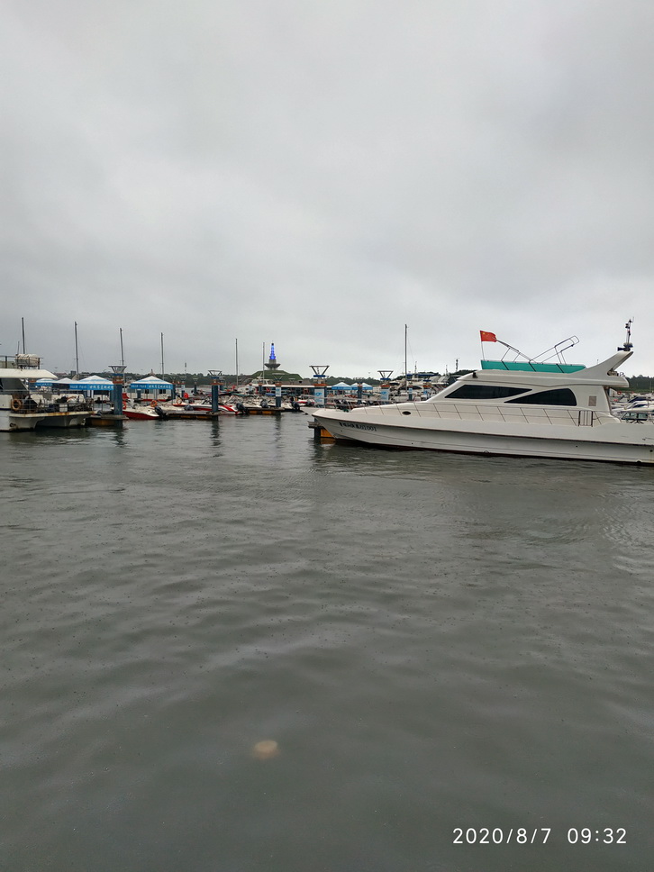 IMG_20200807_093231.jpg