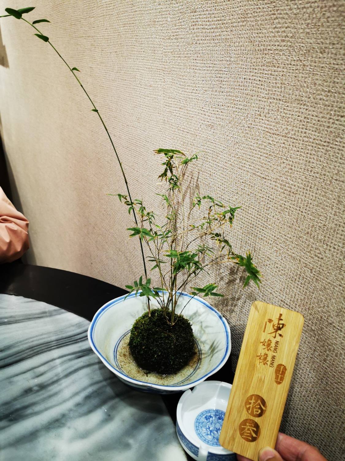 IMG_20201205_195558.jpg