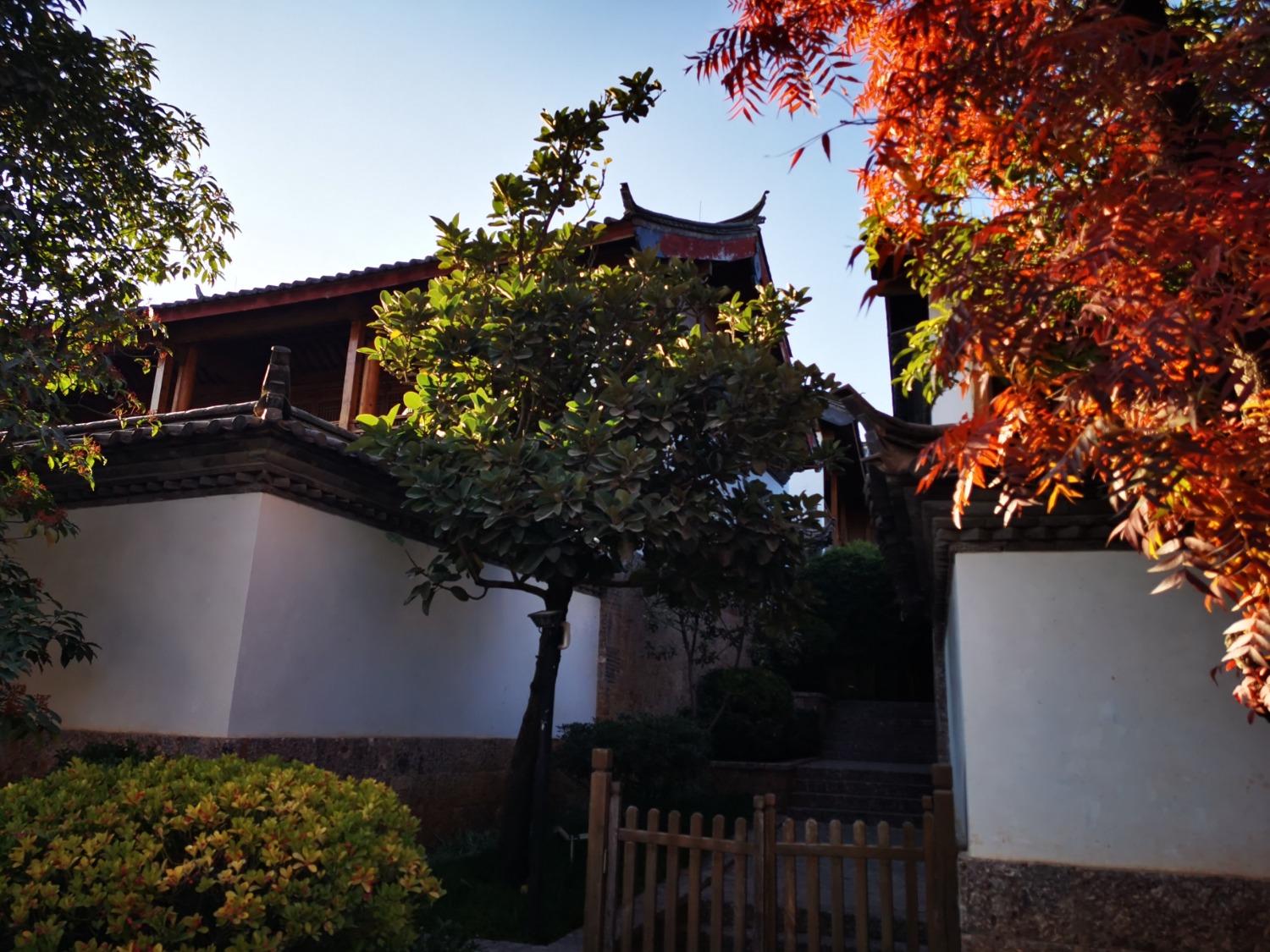 IMG_20201209_165444.jpg