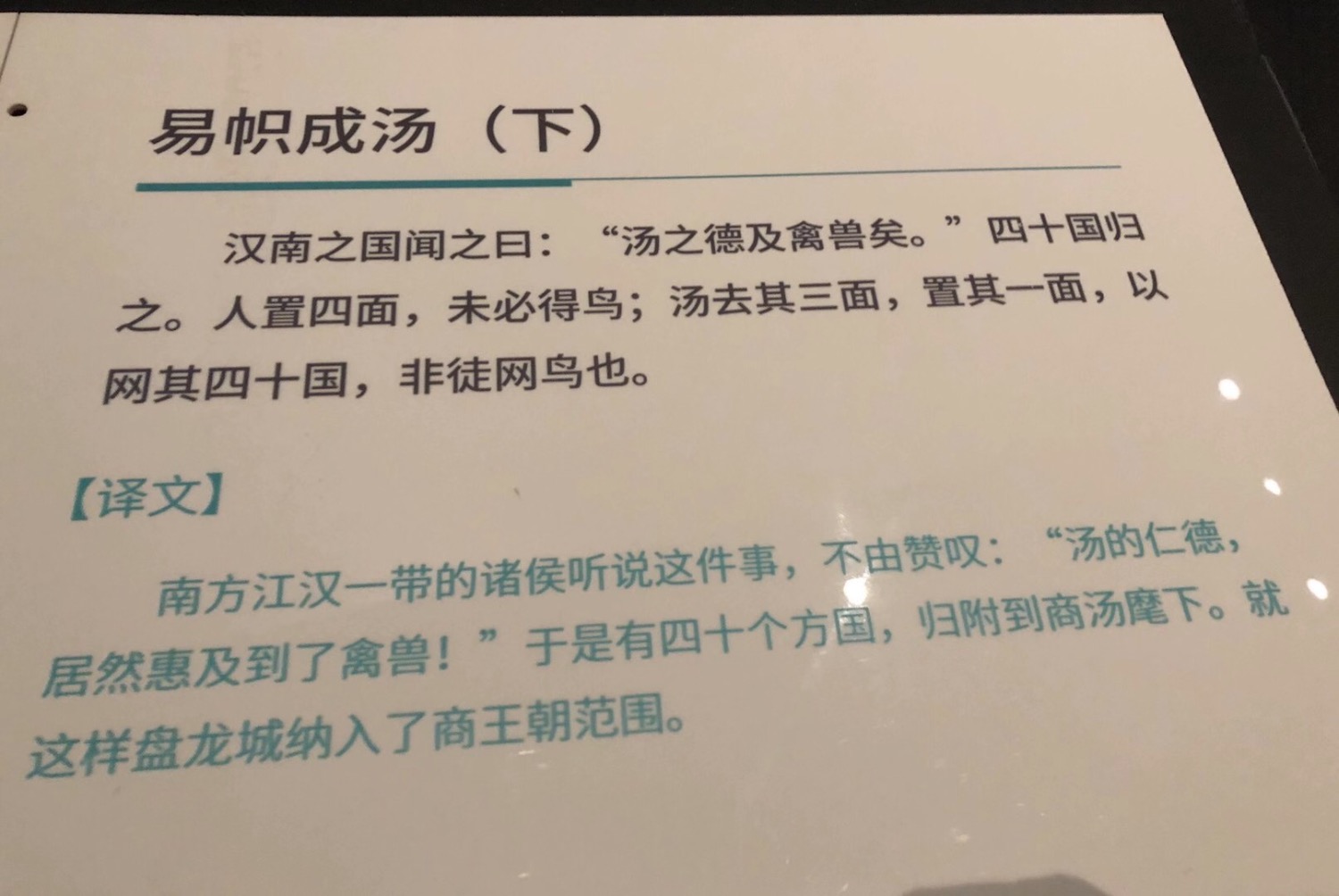 DE7D0458-8D10-47B4-B822-0FAAA6881F11.jpeg