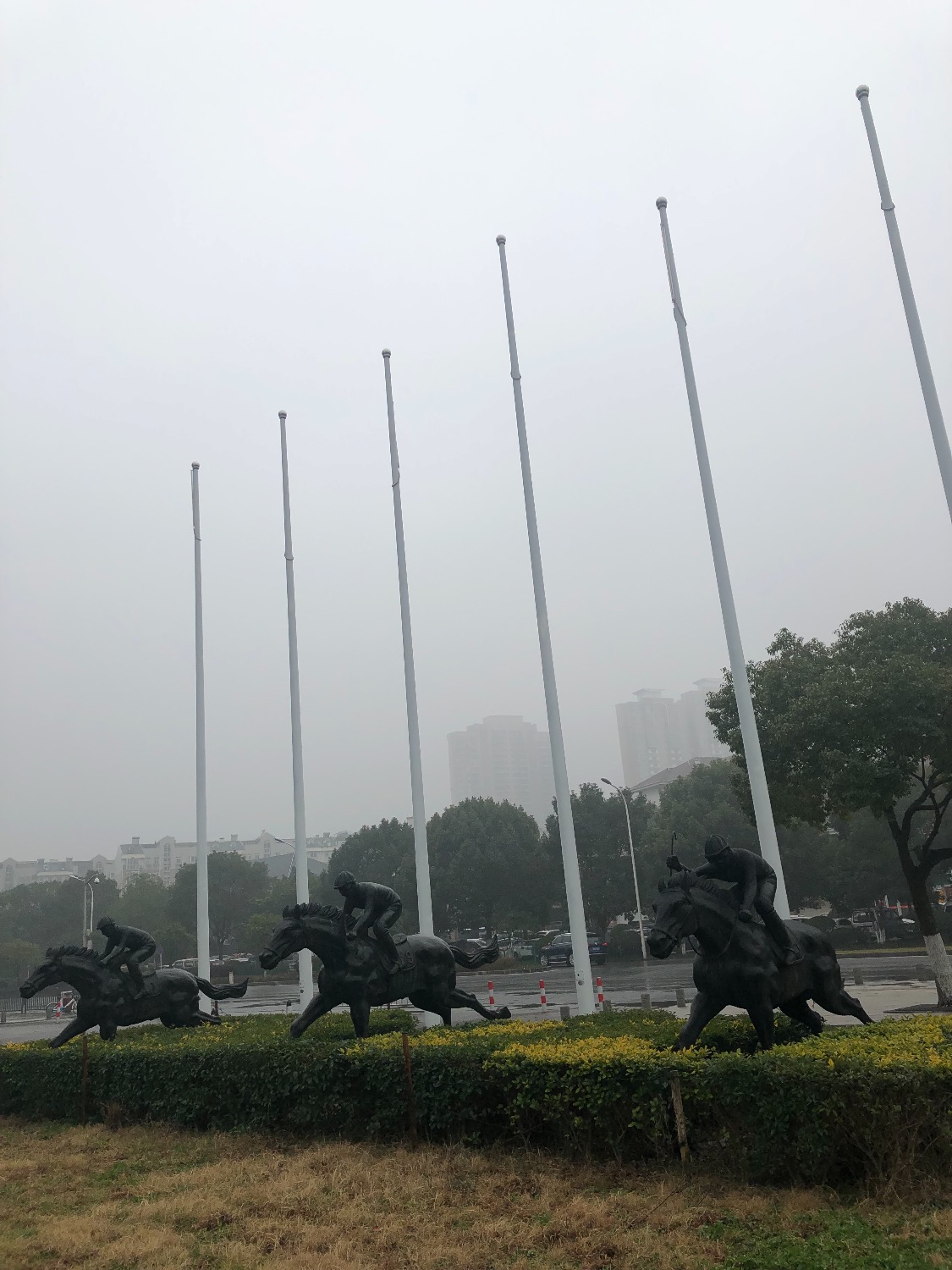 B3D3BD46-1CDA-4558-8557-E439CCC3B217.jpeg