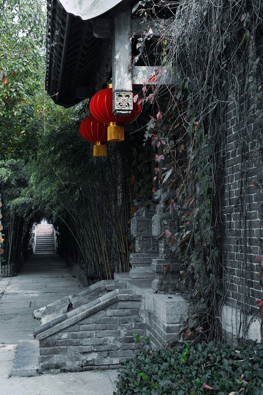 DSC_8876__.jpg