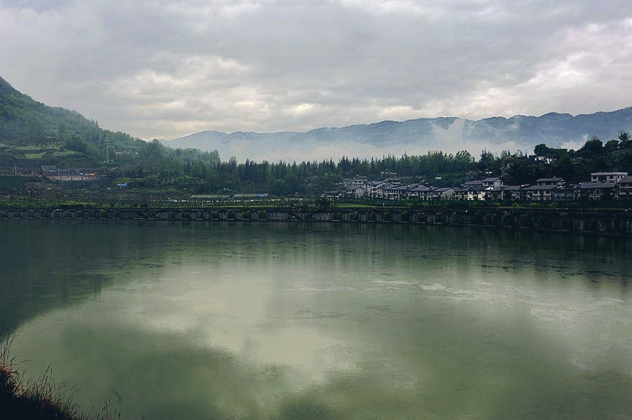_DSC4360____.jpg