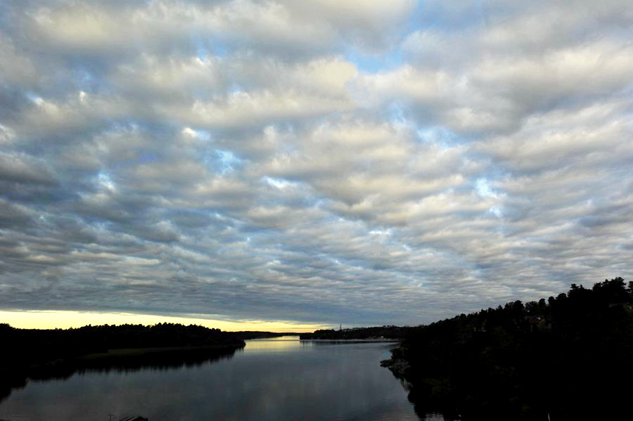 _DSC3053__.jpg