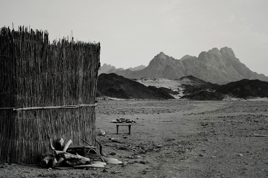 _DSC9342__.jpg