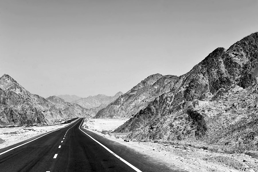 _DSC0869__.jpg