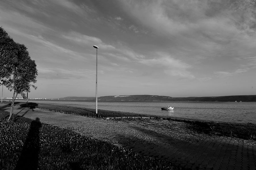 _DSC2140__.jpg