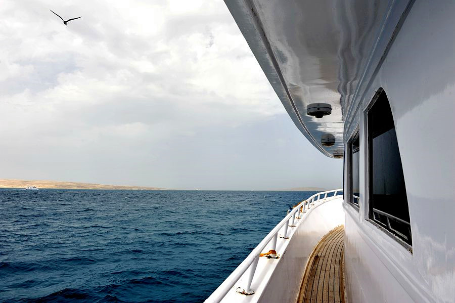 _DSC9992__.jpg