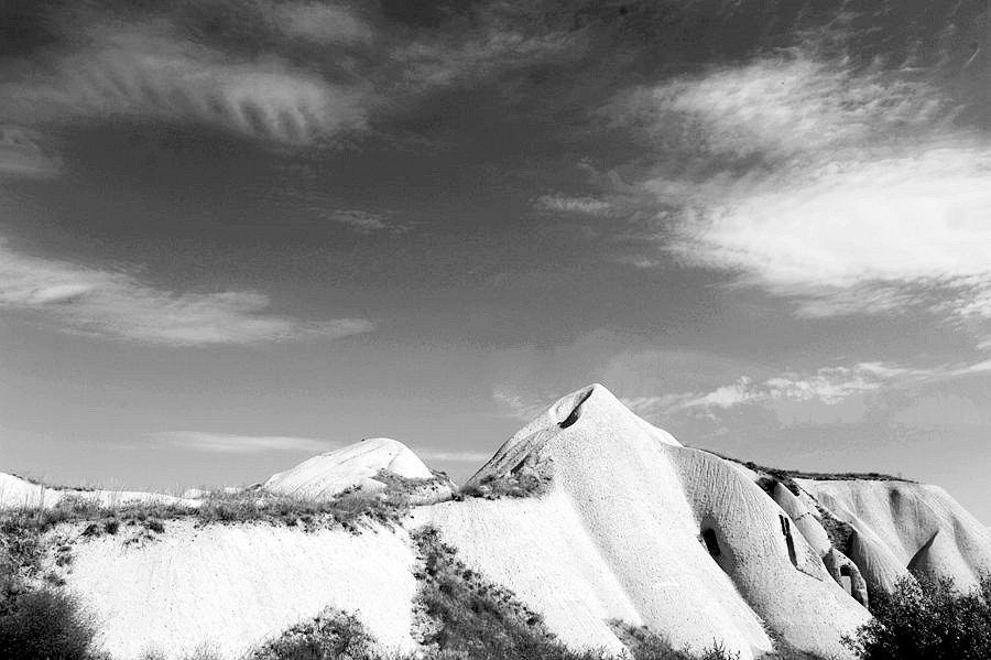 _DSC4255__.jpg