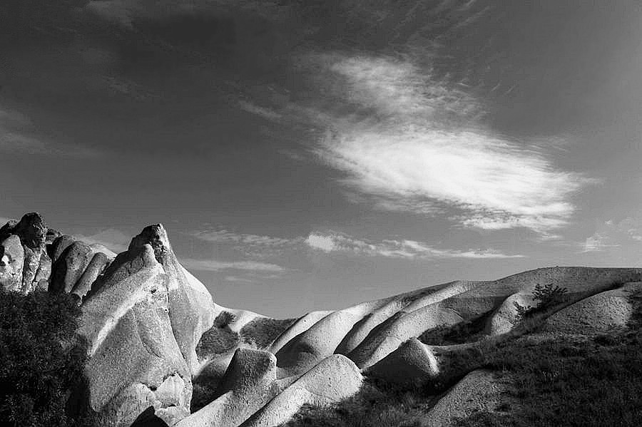 _DSC4258__.jpg