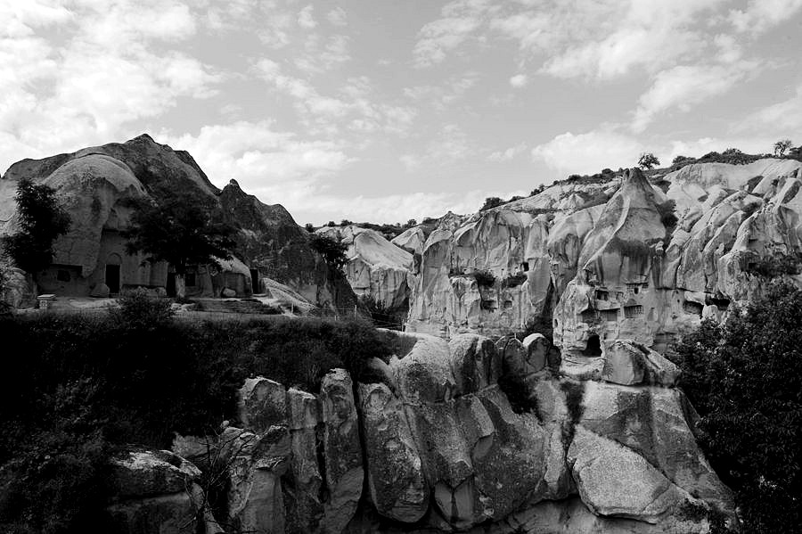 _DSC4466__.jpg