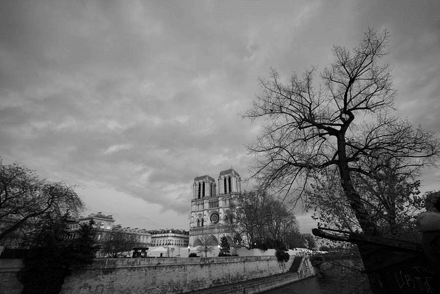 _DSC6443__.jpg