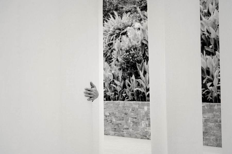 _DSC2205___.jpg