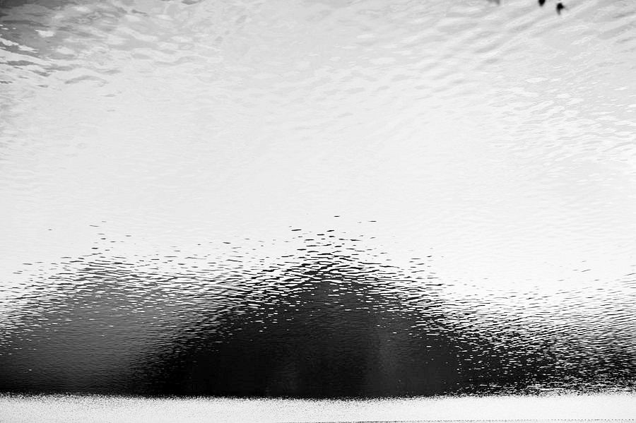 _DSC1531__.jpg