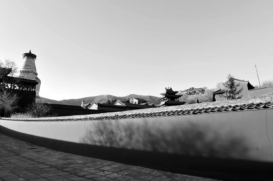 _DSC1751__.jpg