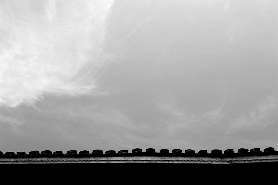 _DSC6307__.jpg