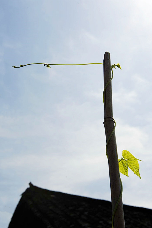 _DSC6329__.jpg