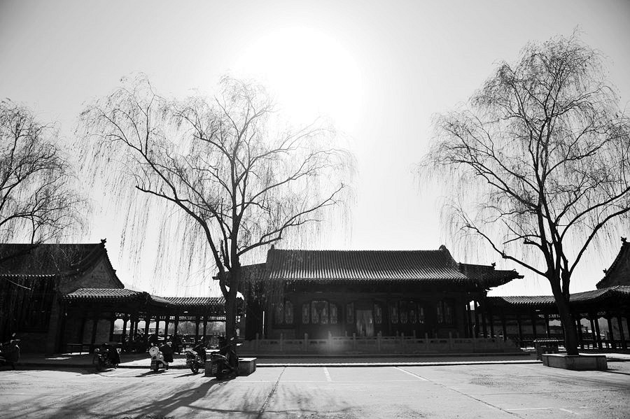 _DSC3015__.jpg