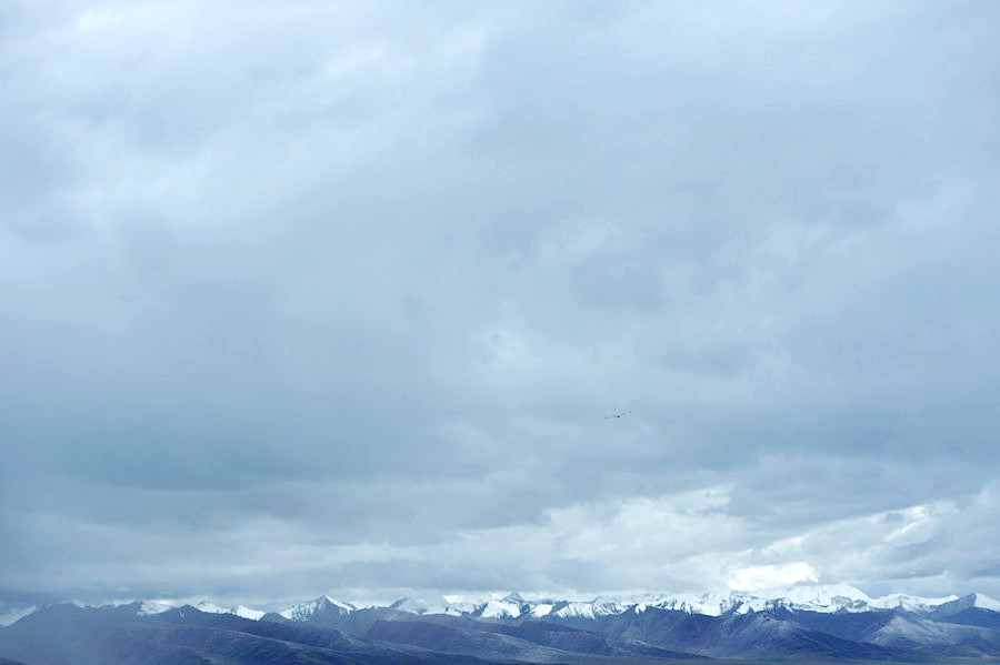 1SC_2124_ͼ__.jpg