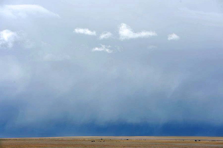1SC_2237_ͼ__.jpg
