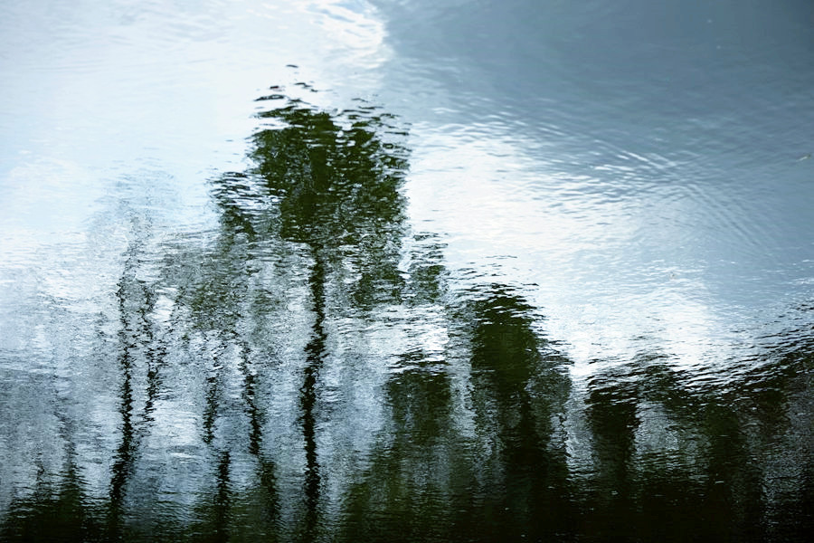 _DSC8135__.jpg