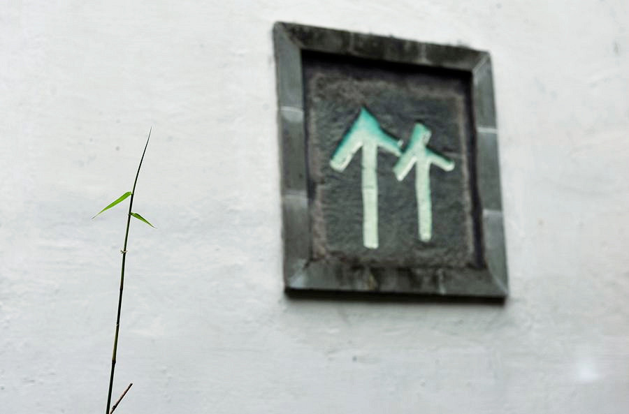 DSC_5738_副本_副本.jpg