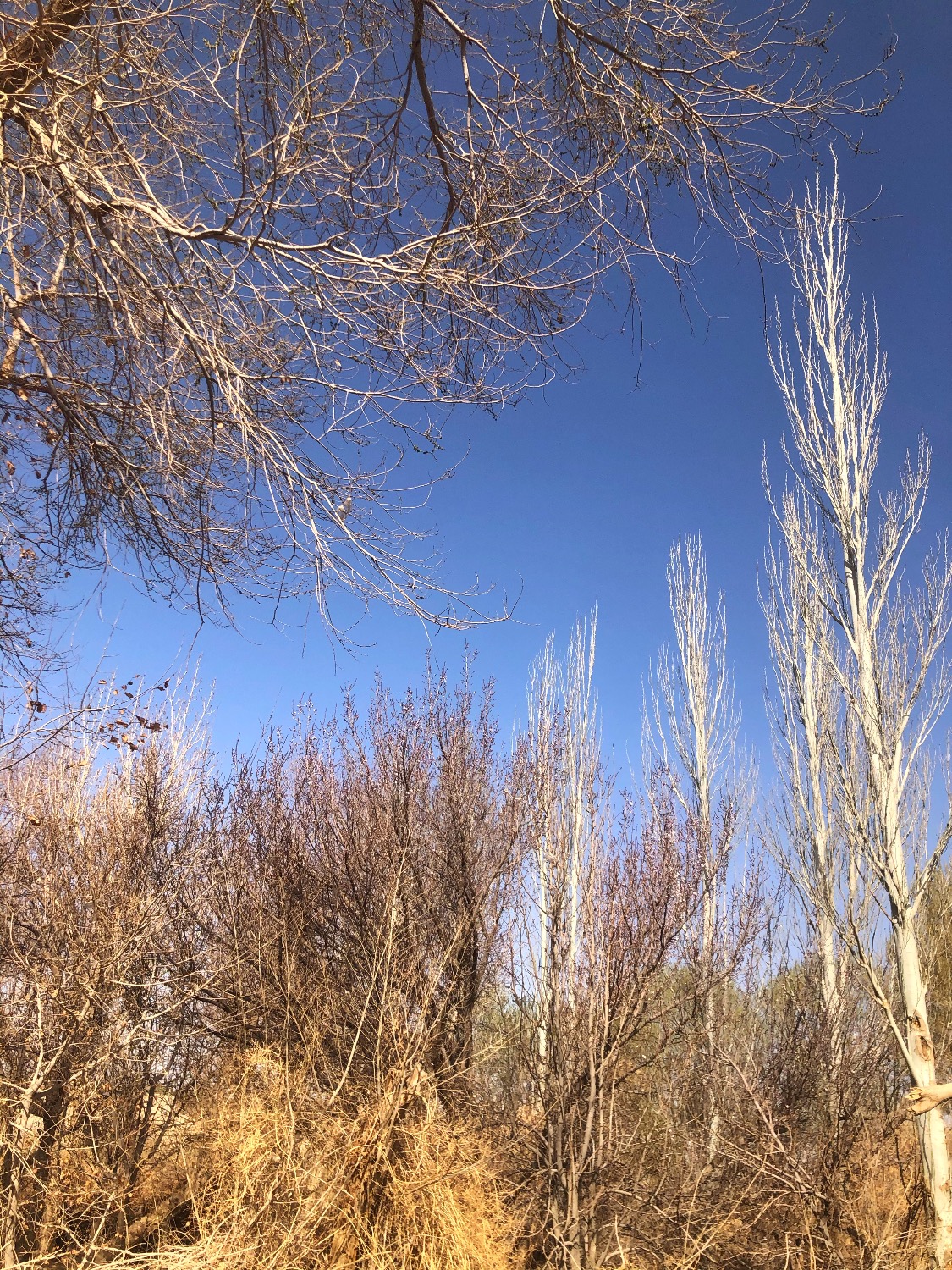 888D0C1A-C24A-4601-B04C-7526F0F36275.jpeg