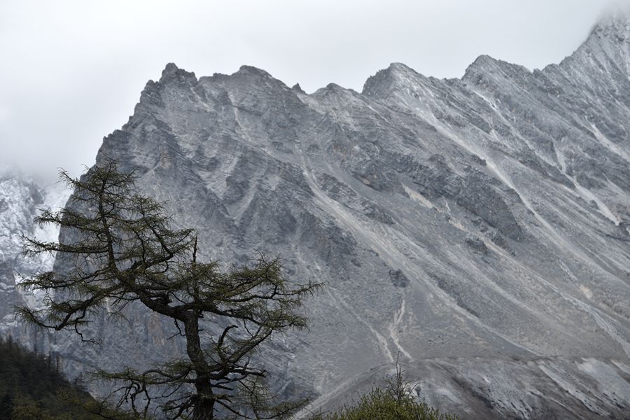 DSC_9410_副本.jpg