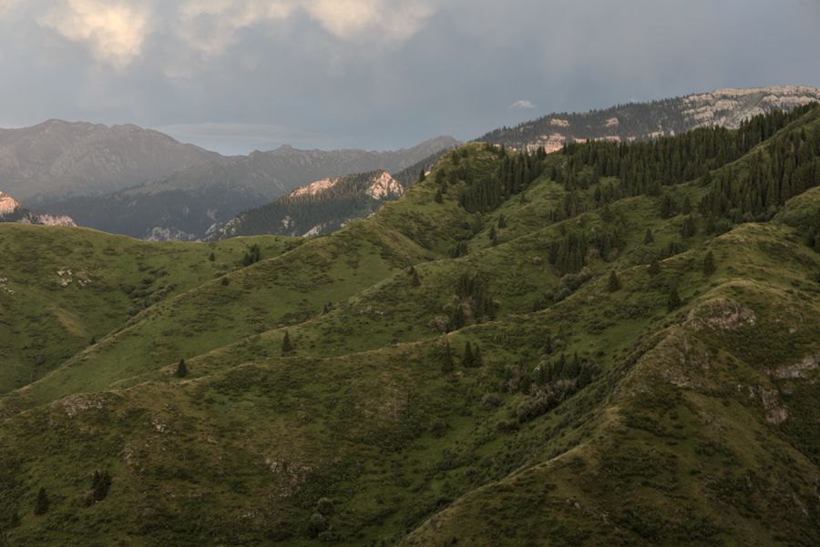 _DSC4188_.jpg