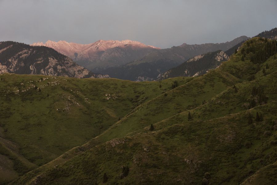 _DSC4233_.jpg