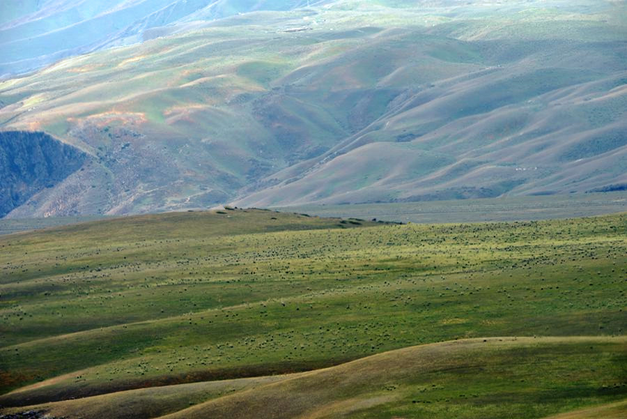 _DSC9752__.jpg